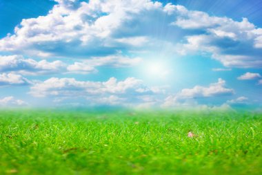 çayır ve gökyüzü