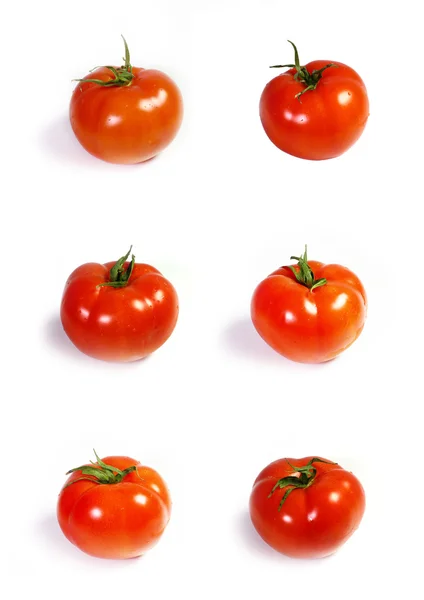 Tomato — Stock Photo, Image