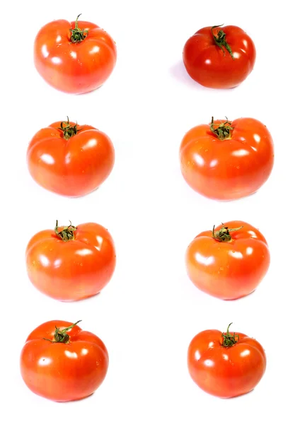 Tomate — Fotografia de Stock