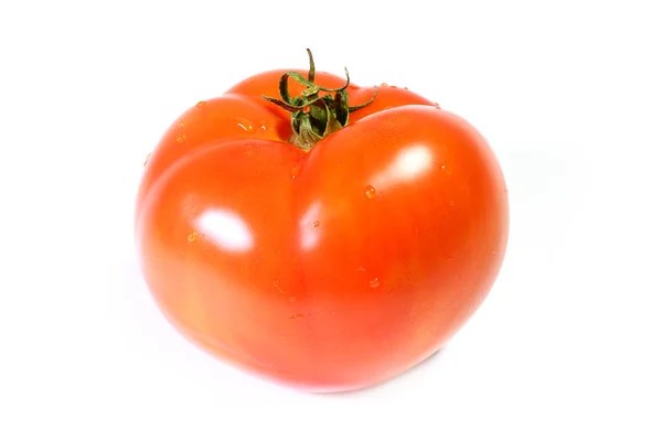 Tomate — Fotografia de Stock