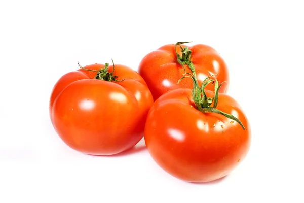 Tomato — Stock Photo, Image