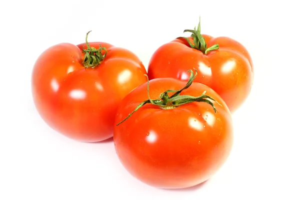 Tomate — Foto de Stock