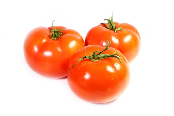 Tomaten — Stockfoto