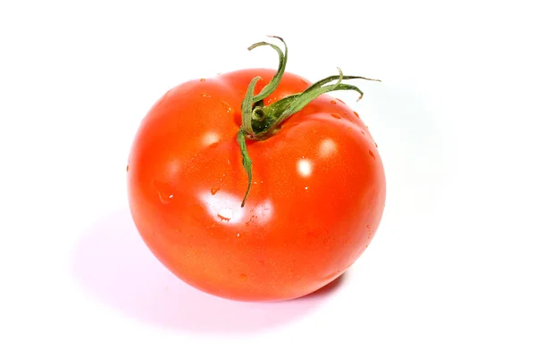 Tomato Royalty Free Stock Photos