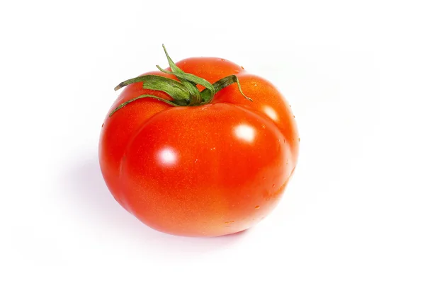 Tomato Stock Picture