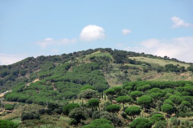 Dağ manzarası