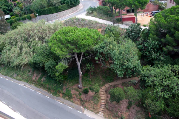 Resort town Calella — Stock Photo, Image