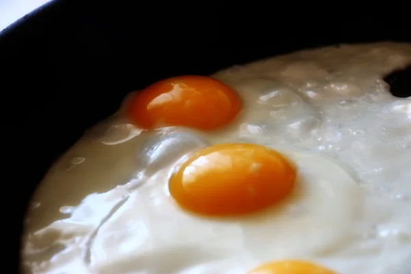 Kokt ägg — Stockfoto