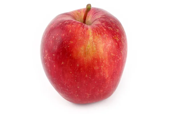 Manzana roja — Foto de Stock