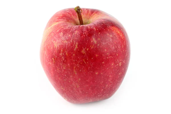 Rött äpple — Stockfoto