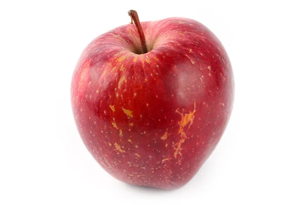 Manzana roja — Foto de Stock