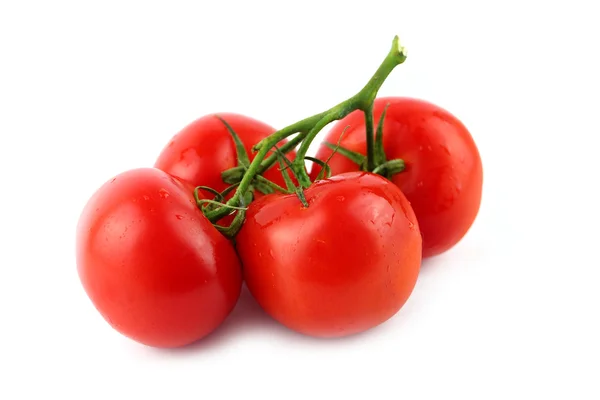 Tomato — Stock Photo, Image