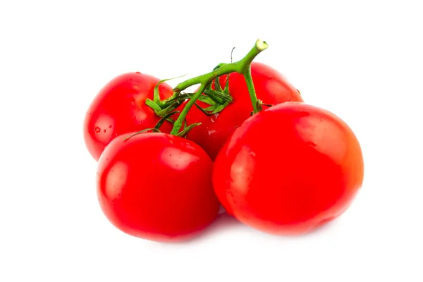 Tomato — Stock Photo, Image