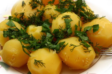 haşlanmış patates