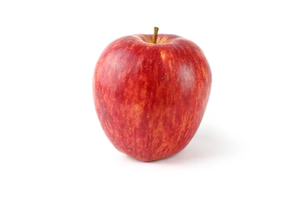 Mogna äpple — Stockfoto