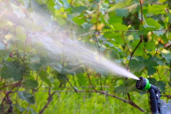 Aspersor de agua — Foto de Stock