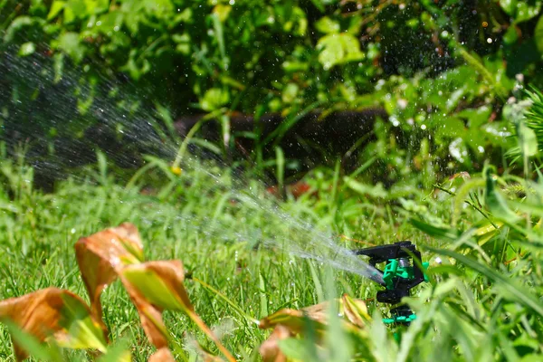 Aspersor de agua — Foto de Stock