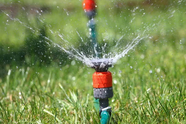 Vatten sprinkler — Stockfoto