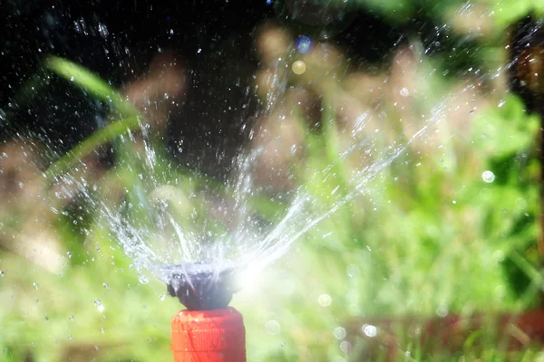 Wassersprenger — Stockfoto