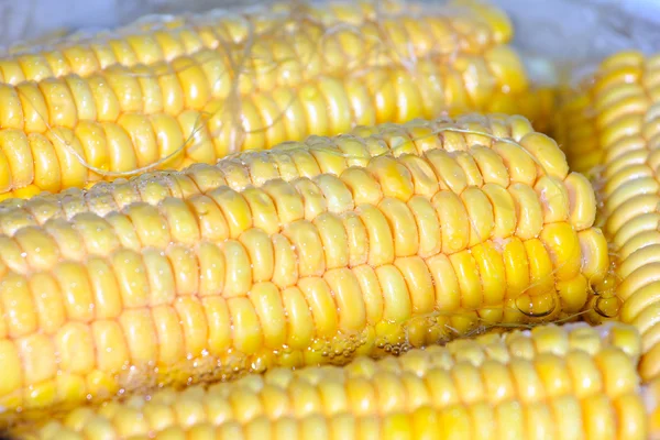 ripe corn