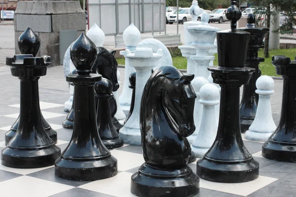 Σκάκι κήπου — Φωτογραφία Αρχείου