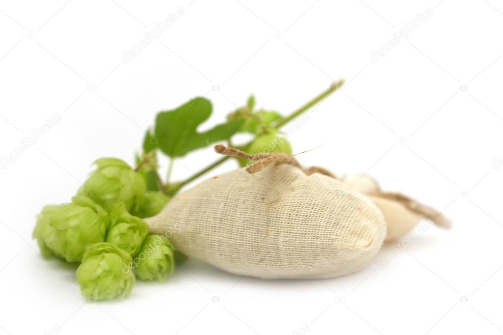 Planta de lúpulo — Stock Photo © BurAndrew 82994750