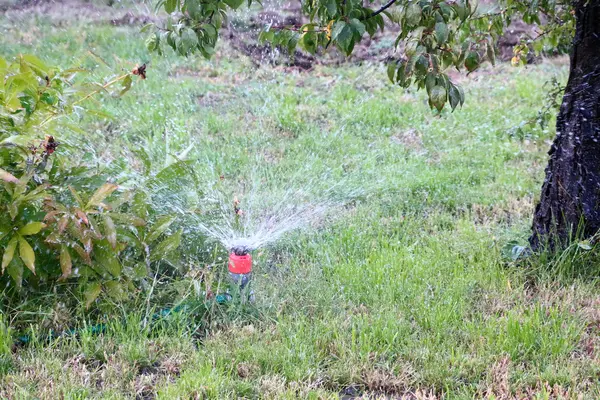 灌溉 — 图库照片