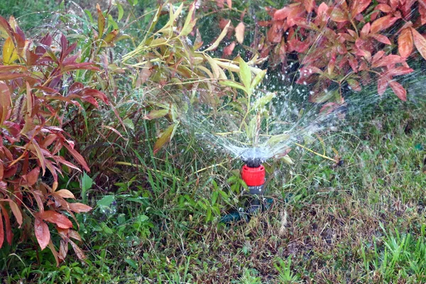 Irrigate — Stock Photo, Image