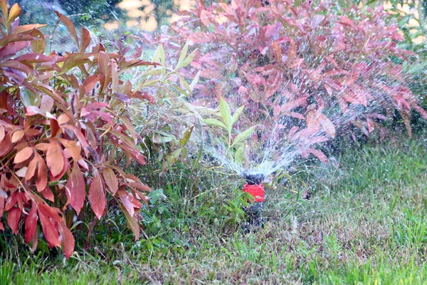 Irrigate — Stock Photo, Image