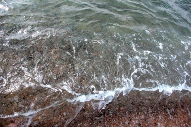 dalgalar ve kıyı deniz