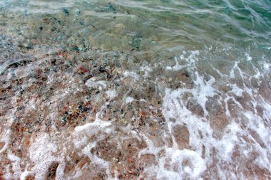 dalgalar ve kıyı deniz