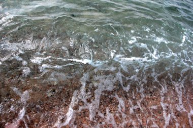 dalgalar ve kıyı deniz