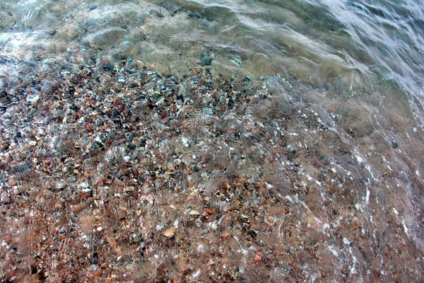 波浪和岸海 — 图库照片