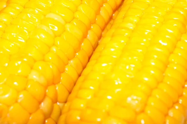与成熟的玉米的场景 — 图库照片