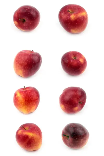 Uma maçãs maduras deliciosas — Fotografia de Stock