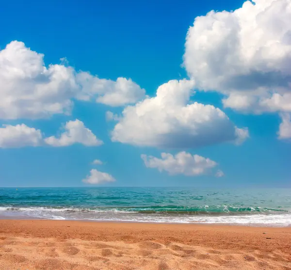 Spiaggia di sabbia soleggiata — Foto Stock