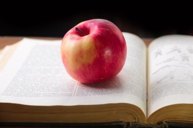 kitap ve elma