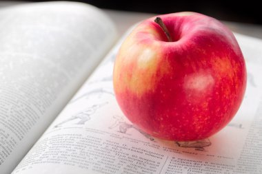 kitap ve elma
