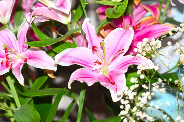 ユリの花のシーン — ストック写真