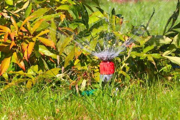 Szene bewässert Gras — Stockfoto