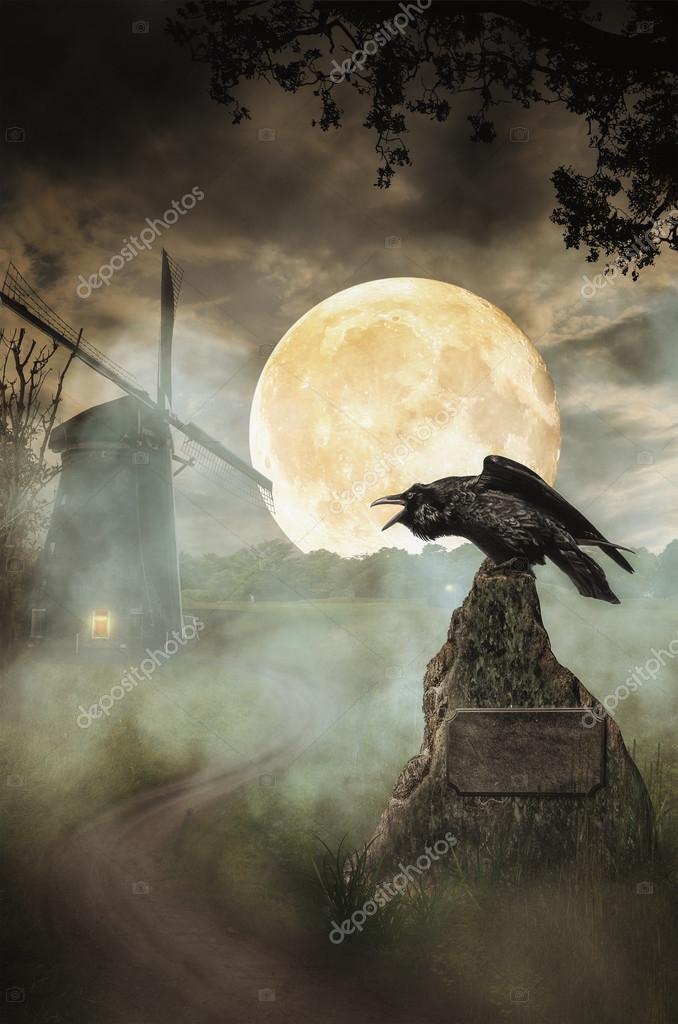 Газ м1 черный воронок. Лесной ворон. Черный ворон по дороге шинами. Ворона. Ворон.