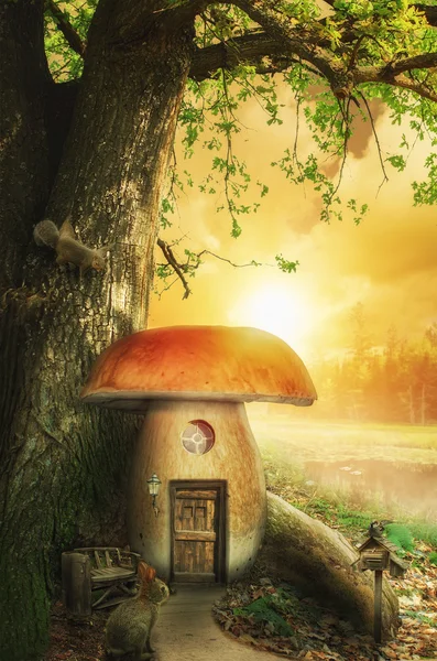 Mushroom fairy house — Stock Photo, Image
