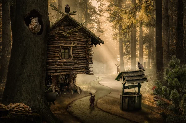 Fairy witch house — Stock Photo, Image