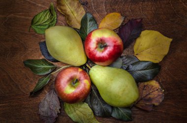 Sonbahar arka planında sonbahar yaprakları ve fındıklar