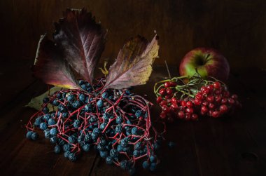 Koyu ahşap bir arka planda yabani üzüm ve viburnum meyvesi kümesi. Sonbahar stili.