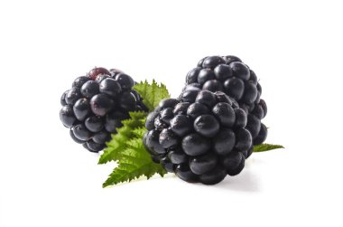 Beyaz arkaplanda yaprakları olan böğürtlenler (Fotoğraf manipülasyonları / kolajlar için boş))