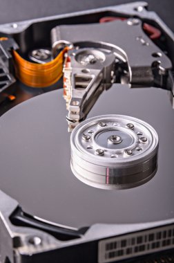 Disk