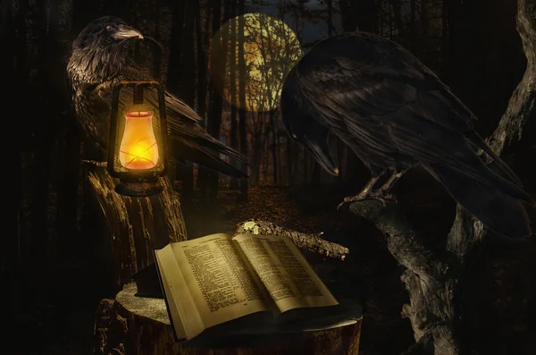 Ворона. Эдгар по ворон книга. Ворон книга. Мудрый читающий ворон. Прочитать черный ворон.
