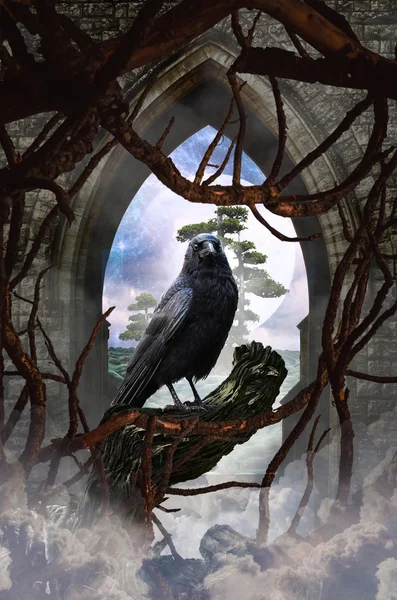 ağ geçidi denetleyicisi rüyalar alanda