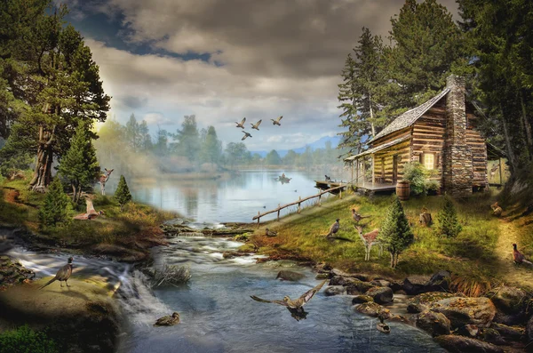 House by the creek — Stock Photo, Image